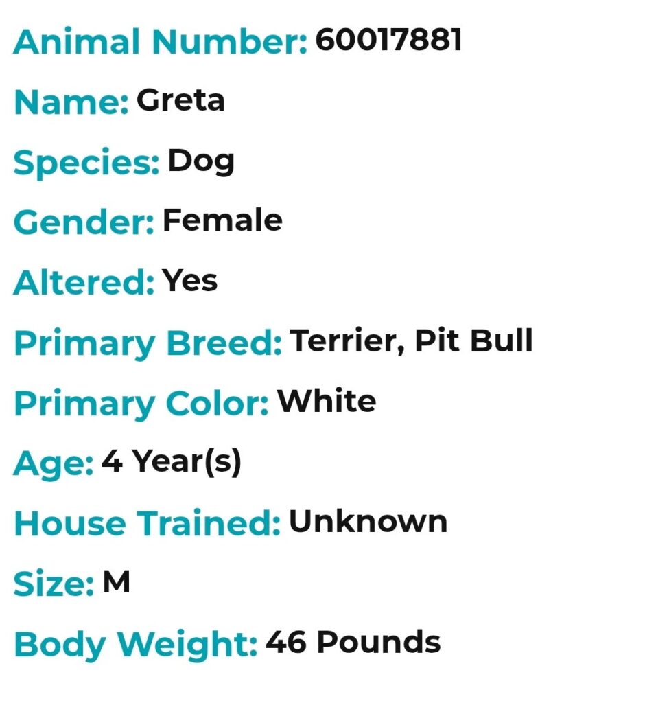 Take Greta Home Today!